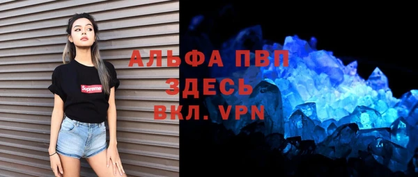 гидра Алапаевск