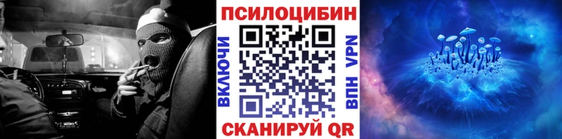 хочу   Дудинка  Псилоцибиновые грибы Cubensis 