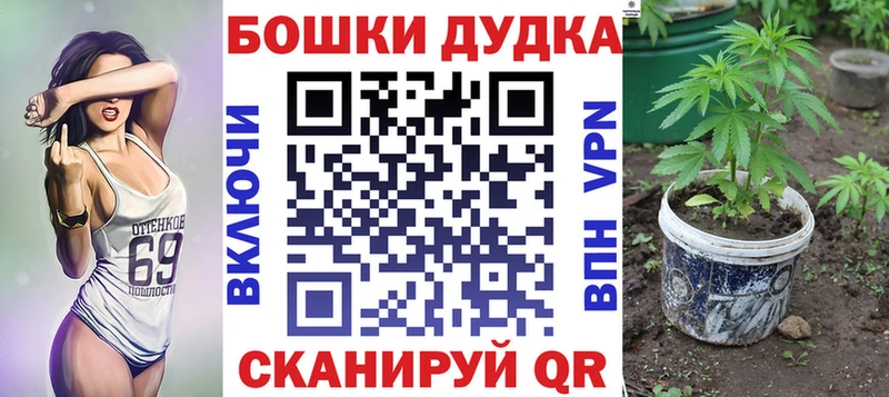 где купить   MEGA   Каннабис планчик  Дудинка 